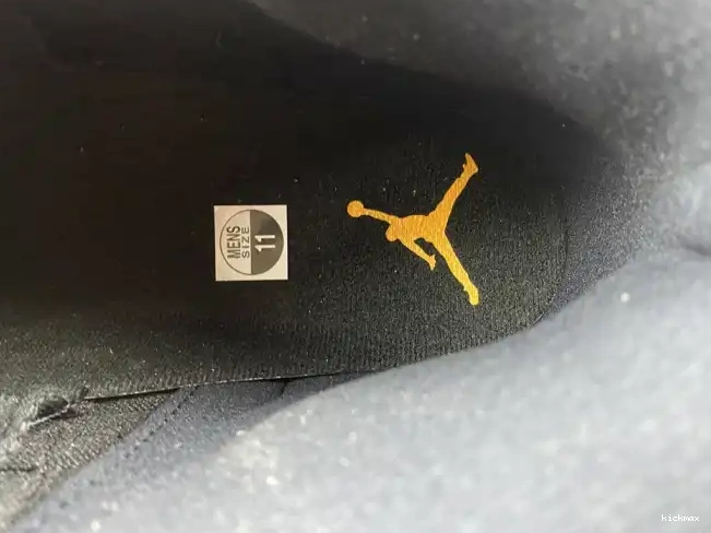 Cheap MAX Black Air 12 CT8013-071 Jordan Taxi 0501